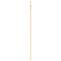 Планшет Apple iPad Pro 12.9 128GB Wi-Fi+Cellular Gold